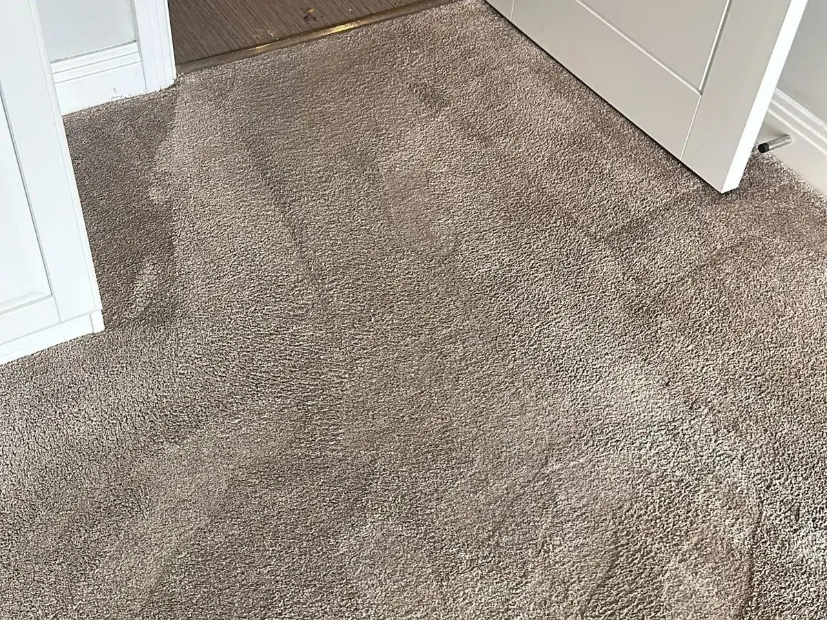 After: Carpet — traffic staining lifted, pile brought back up