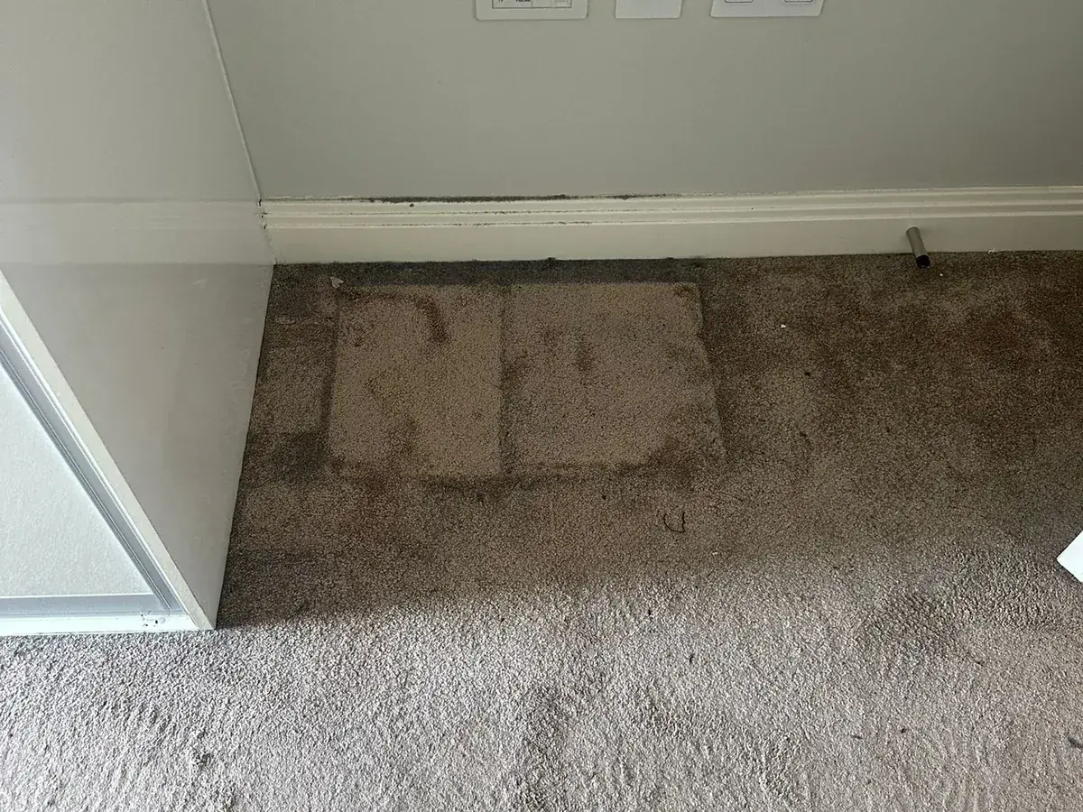 Before: Carpet — traffic staining lifted, pile brought back up